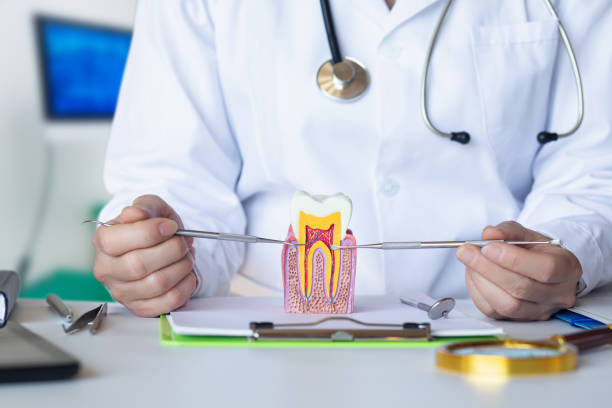 Best Emergency Dental Services for Seniors in Morristown, IN
